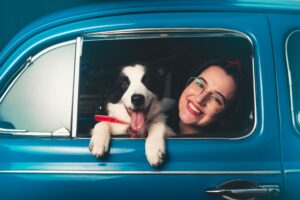 How To Get Rid Of Dog Anxiety In The Car
