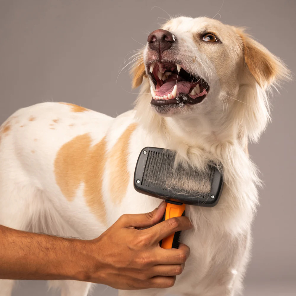 Pin Brush For Dogs