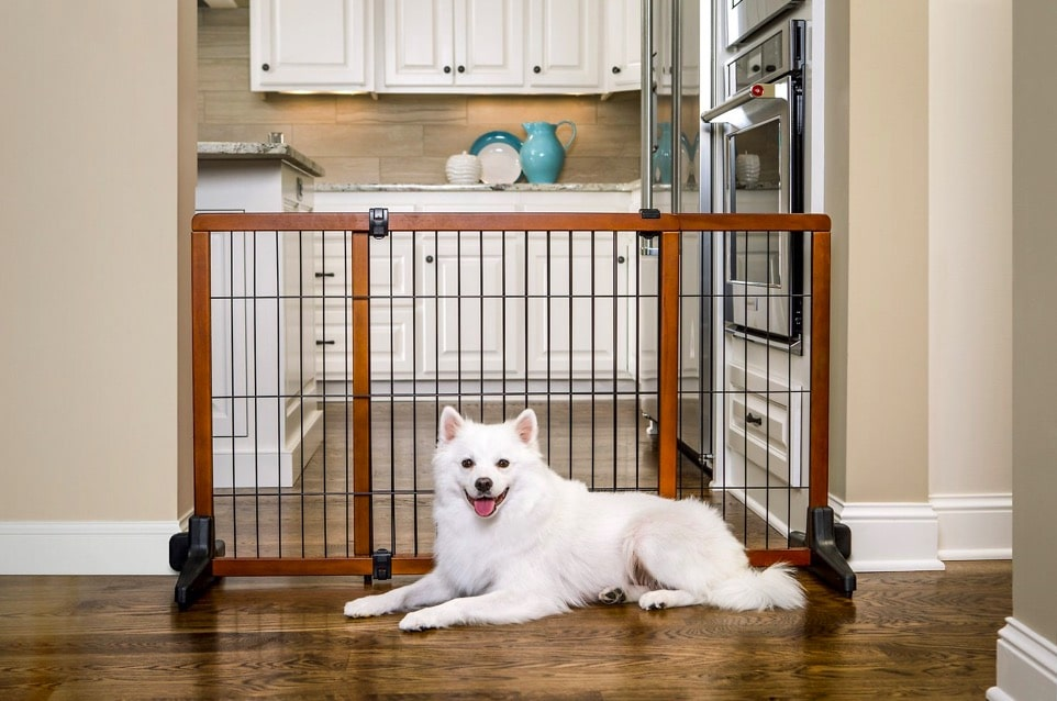 Dog Gates For Large Dogs