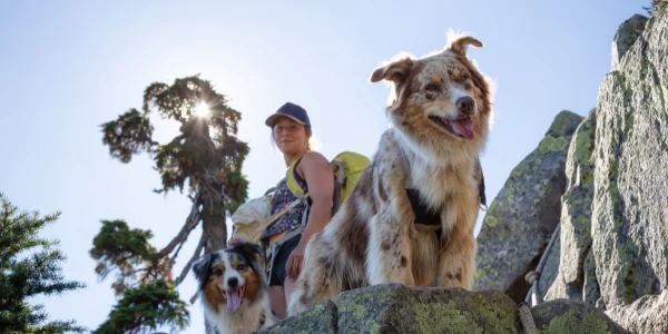 Best Hiking Dogs