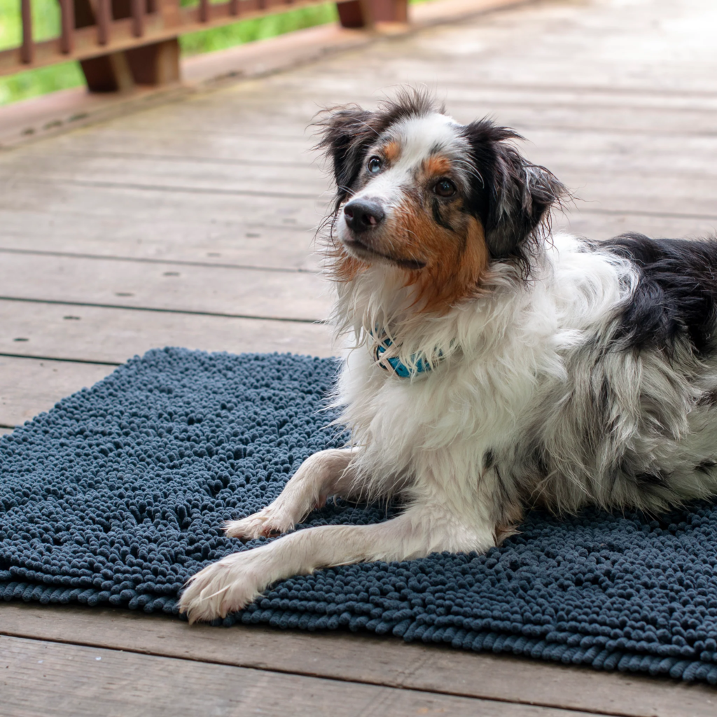 Dog Mud Mat