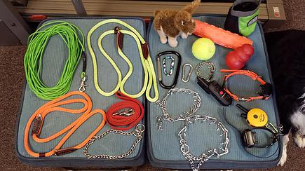 Dog Training Tools