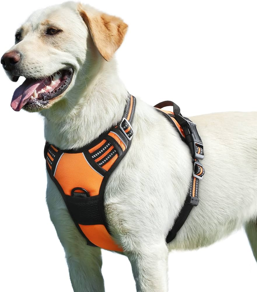 Designer Harness For Dogs