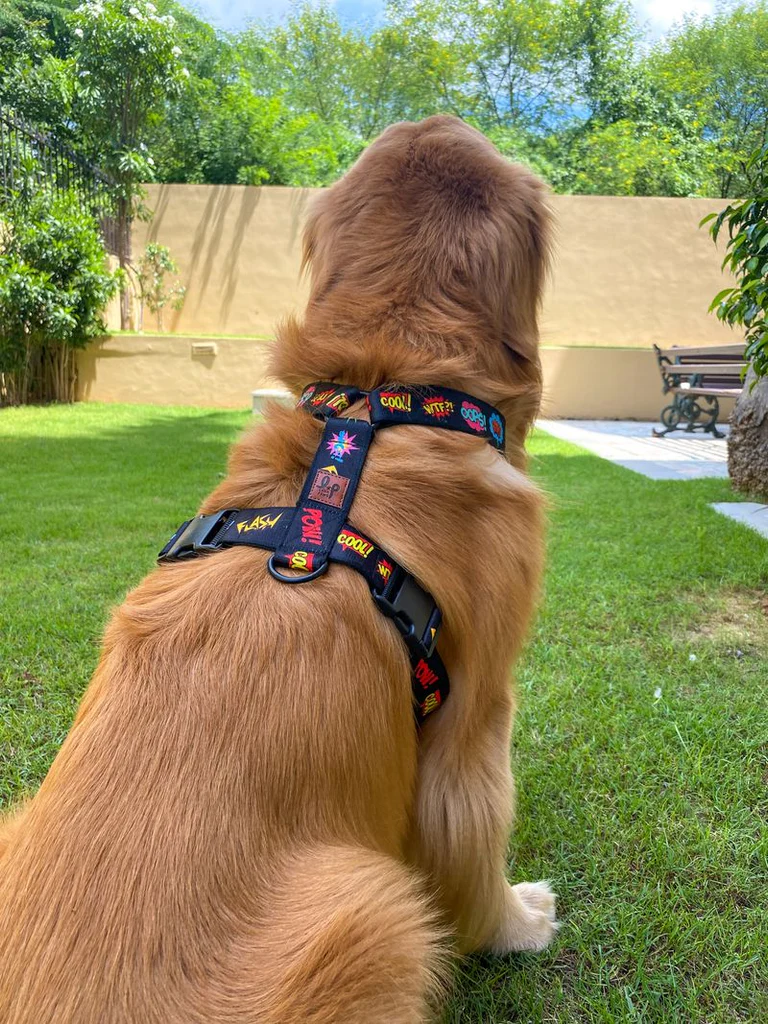 Designer Harness For Dogs