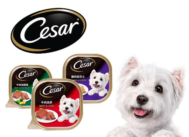 Cesar Dog Food