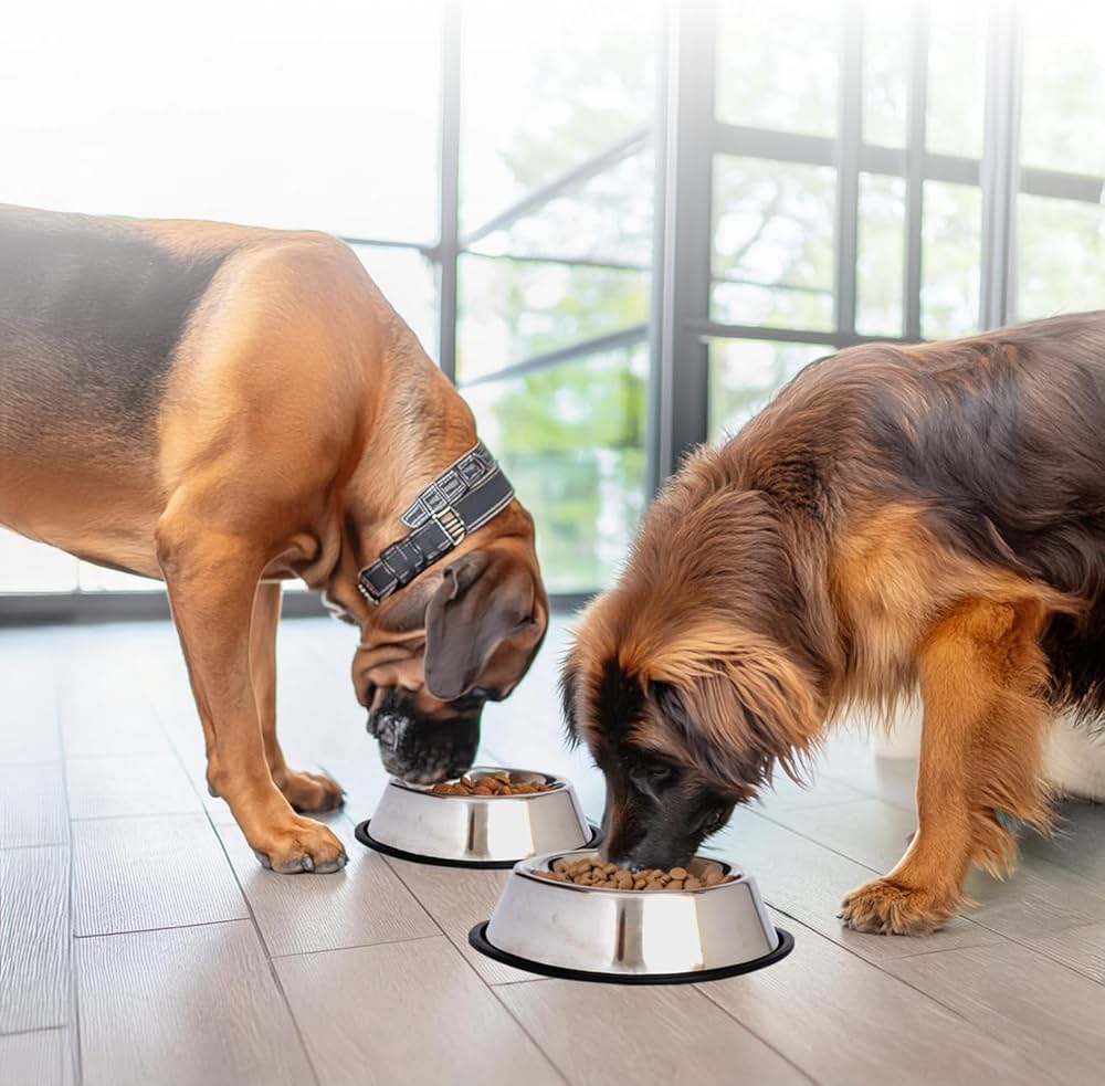 Stainless Steel Dog Bowl