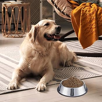 Stainless Steel Dog Bowl