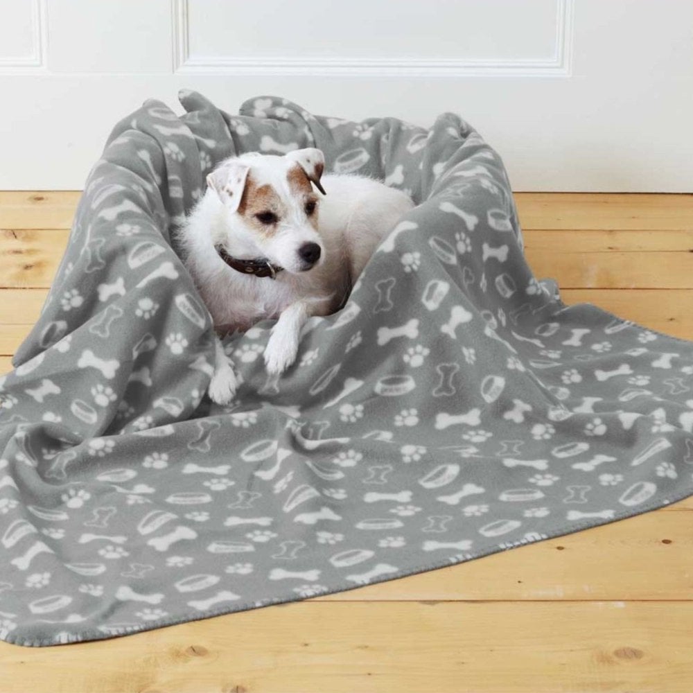 Best Blankets For Dogs