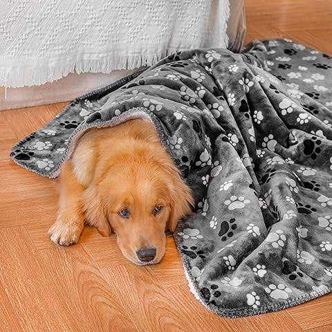 Best Blankets For Dogs