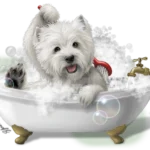 Dog Bath Tub