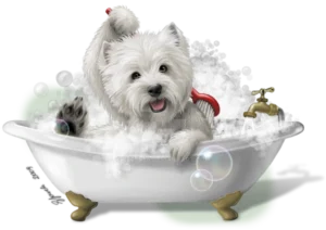 Dog Bath Tub