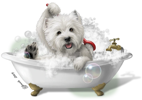 Dog Bath Tub